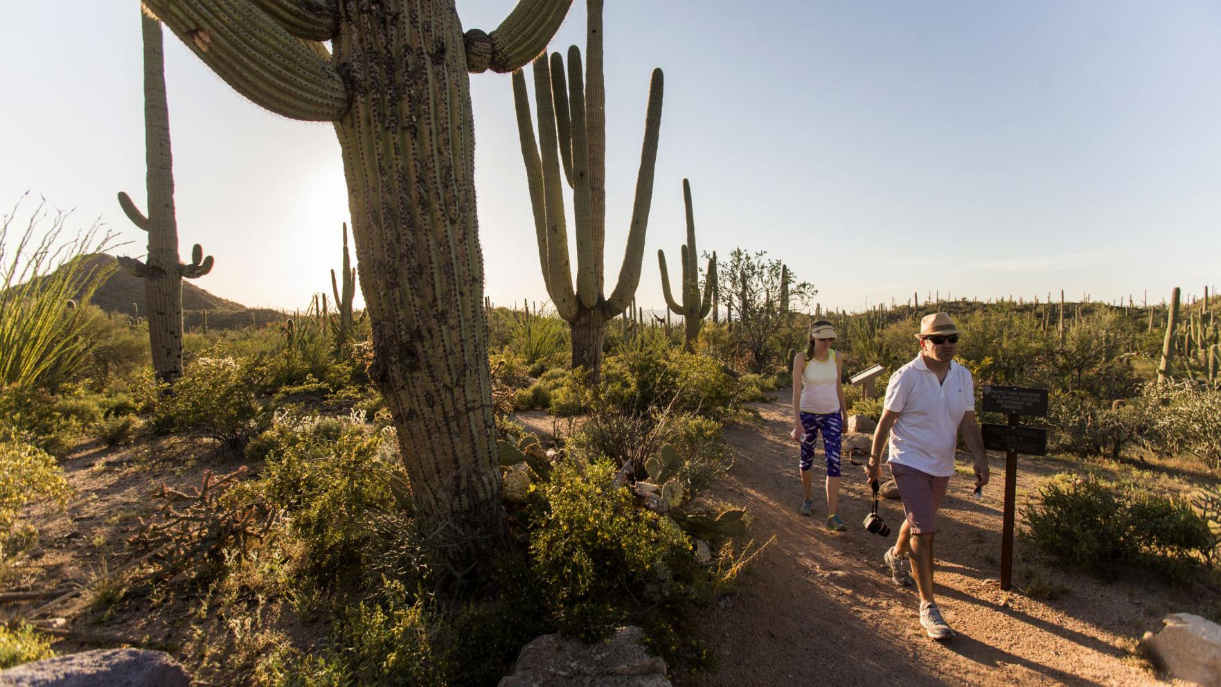 Seniors will pay more — lots more — for a lifetime national parks pass